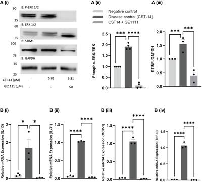 MRGPRX2 antagonist GE1111 attenuated DNFB-induced atopic dermatitis in mice by reducing inflammatory cytokines and restoring skin integrity